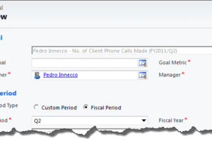 Dynamics CRM: Automating record names